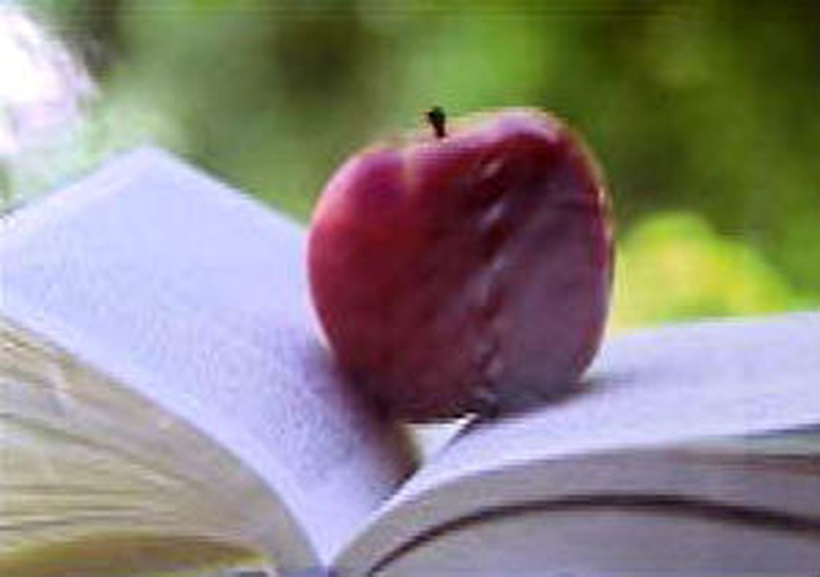 Alcalá organiza el sábado una Noche en Blanco con más de 350 citas culturales