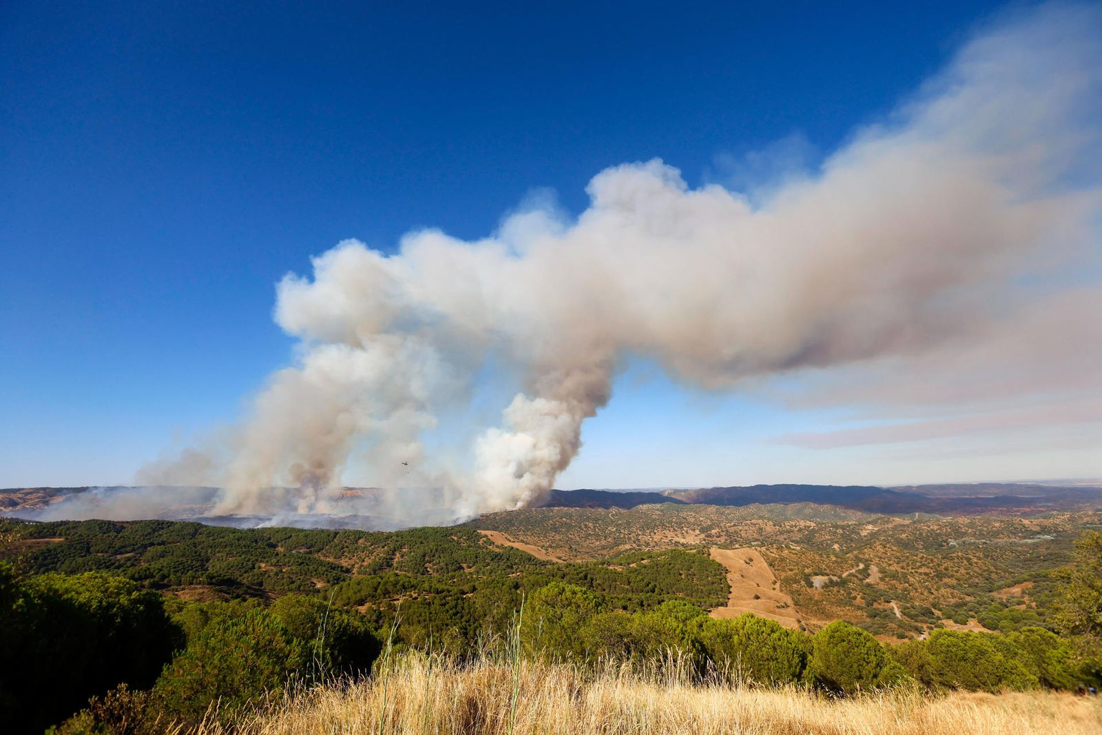 Declarado un incendio forestal de gran virulencia cerca del campo de tiro de Cerro Muriano, Córdoba