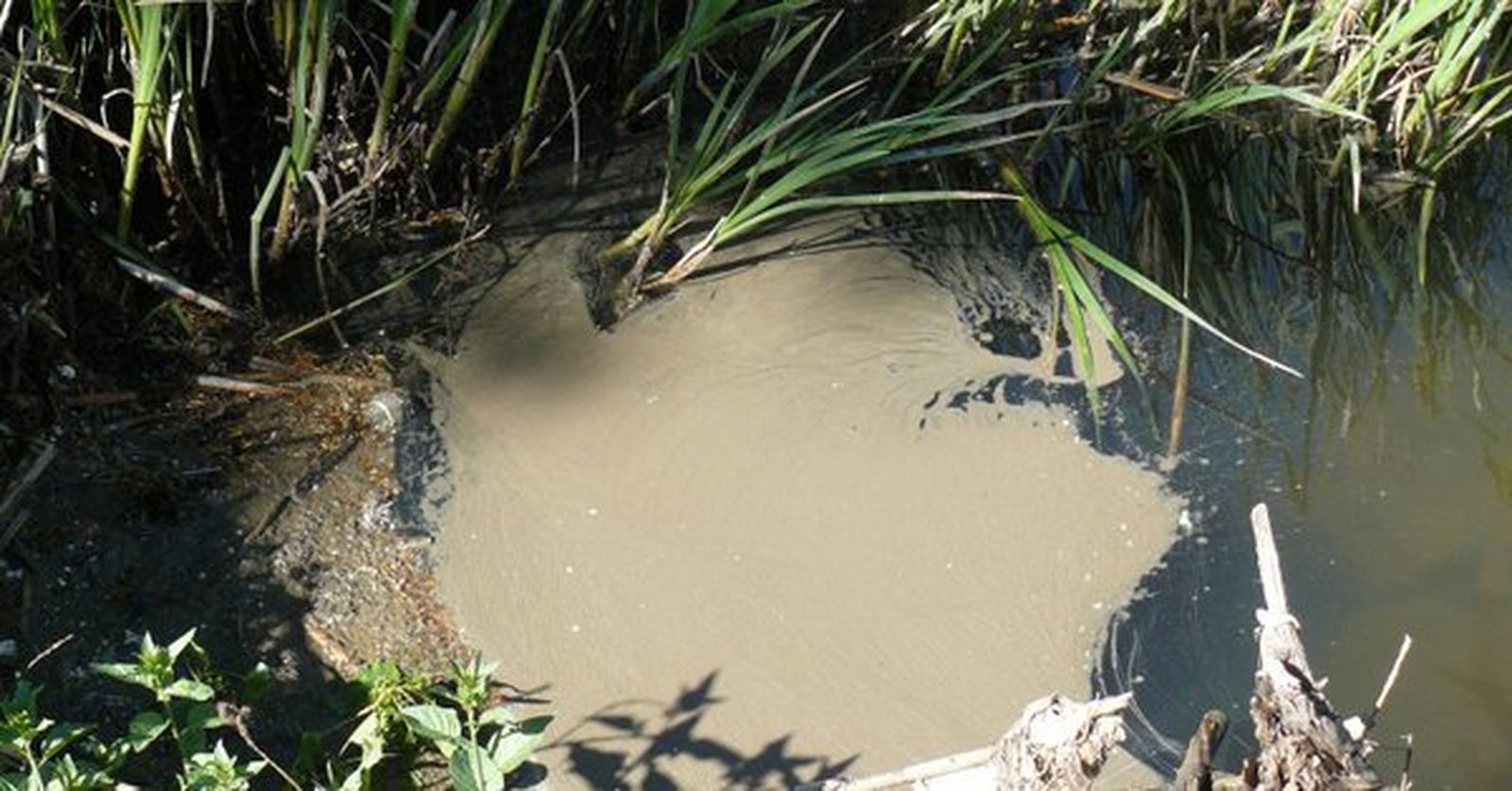 Aguas fecales. Ecologistas en Acción