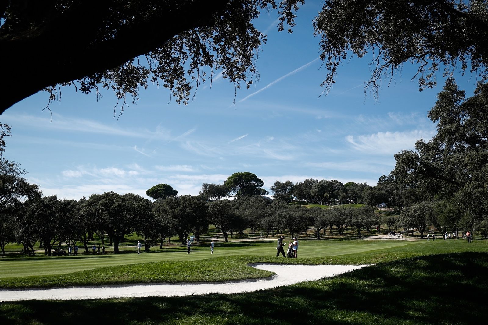 Campo de golf