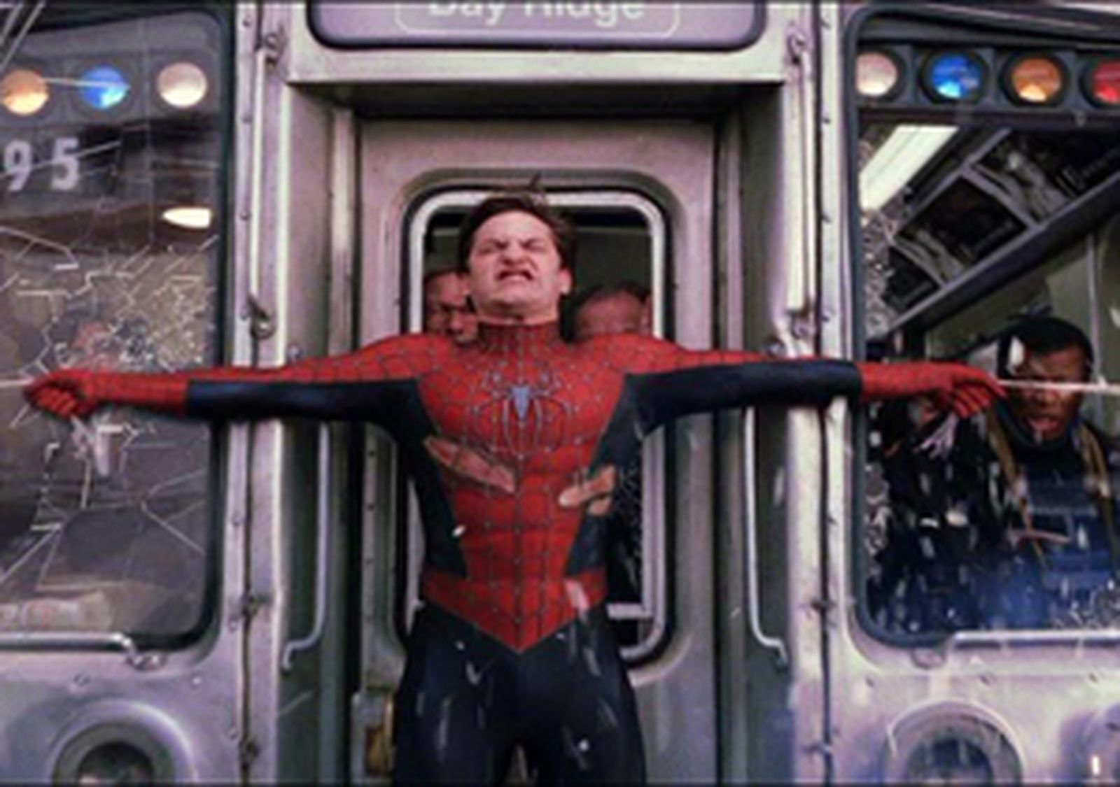 tela_spiderm