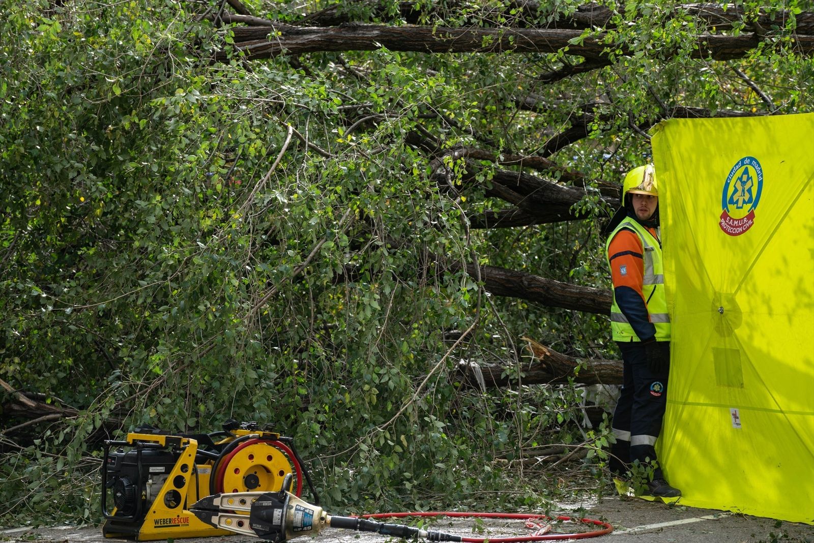 Carpa del SAMUR al lado del árbol que caía sobre un paso de peatones en la calle Almagro