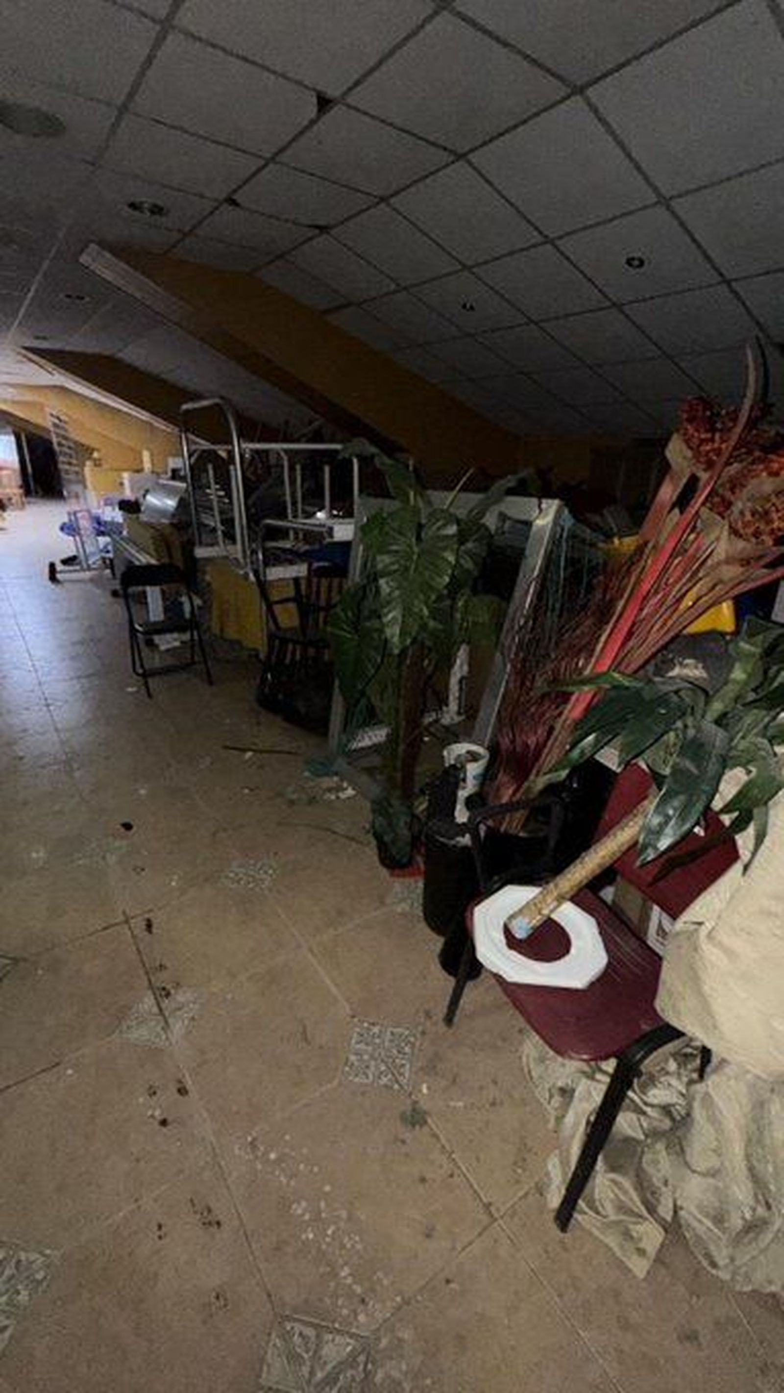 Por imágenes como estas al Rayo le han retirado la concesión de su estadio