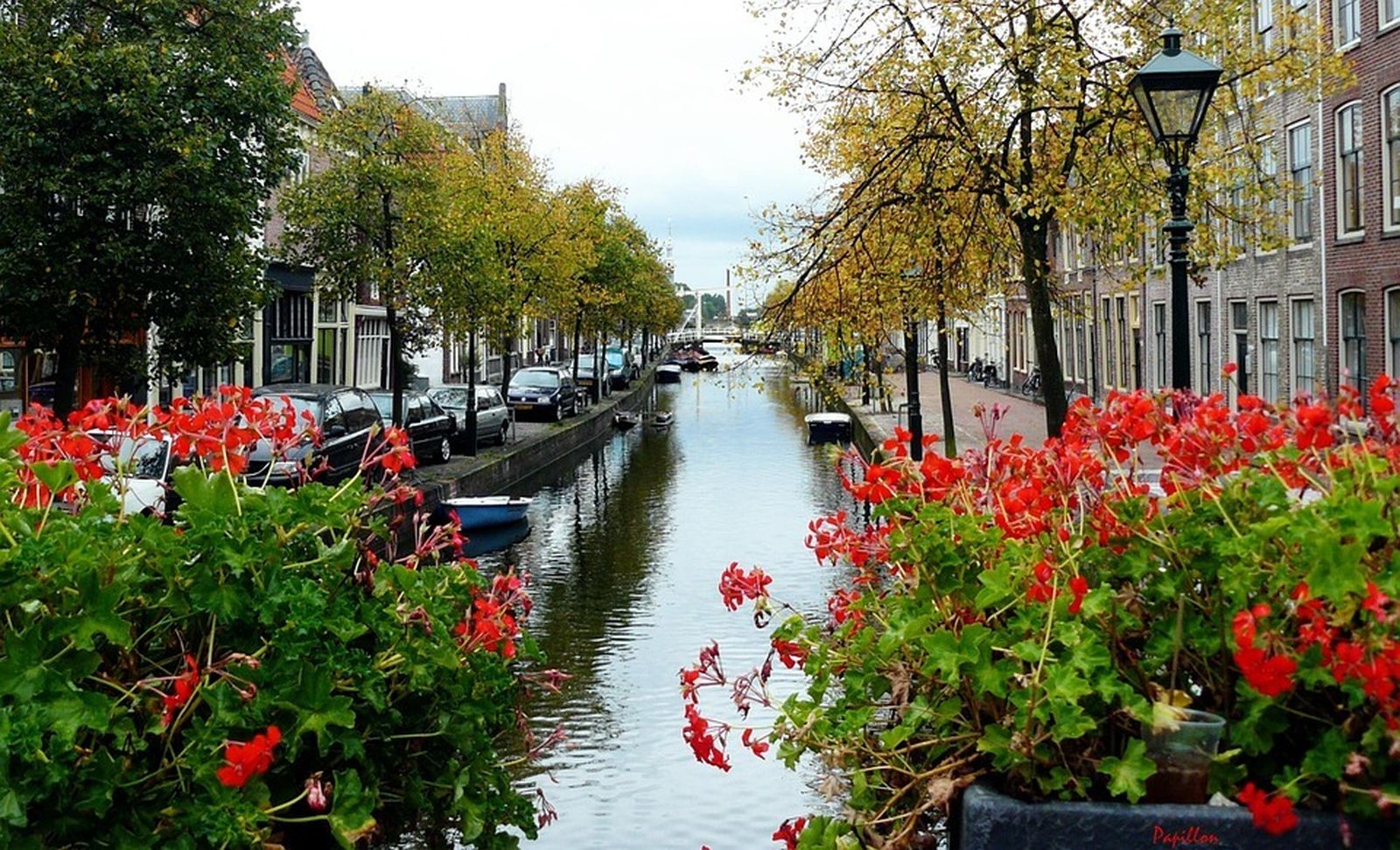 HOLANDA