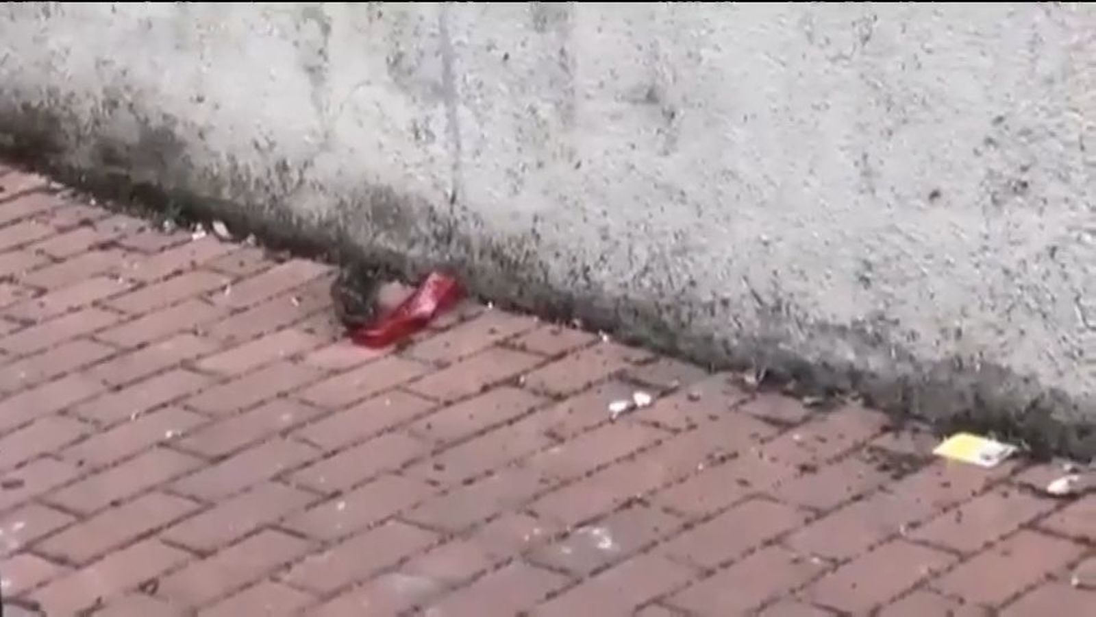 Invasión de ratas en el casco antiguo de Vicálvaro