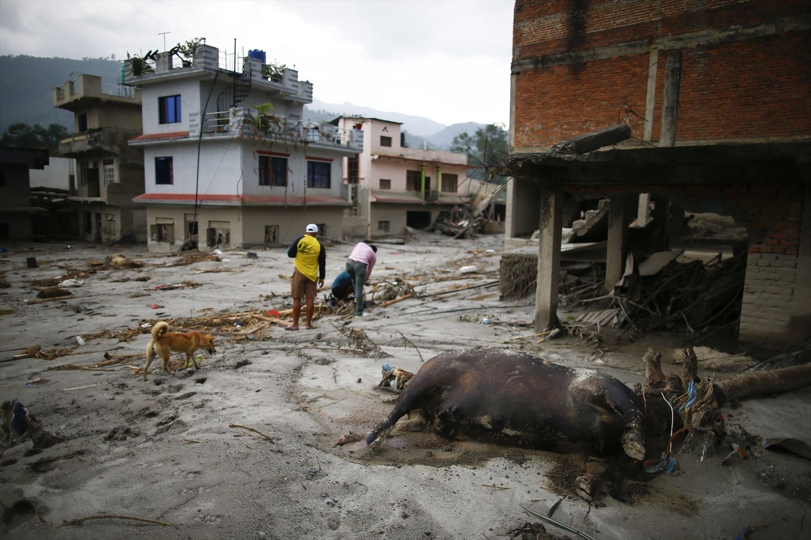 Riada en Nepal