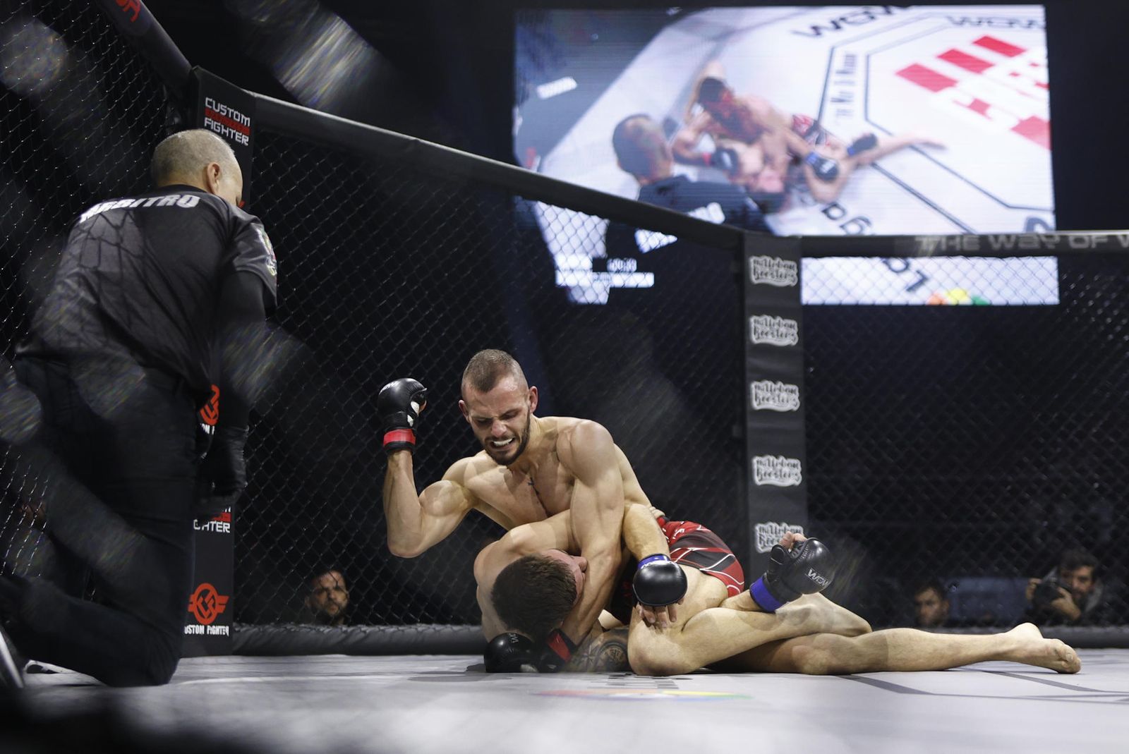 Artes marciales mixtas