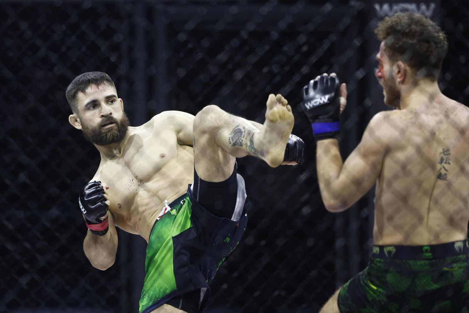 Artes marciales mixtas