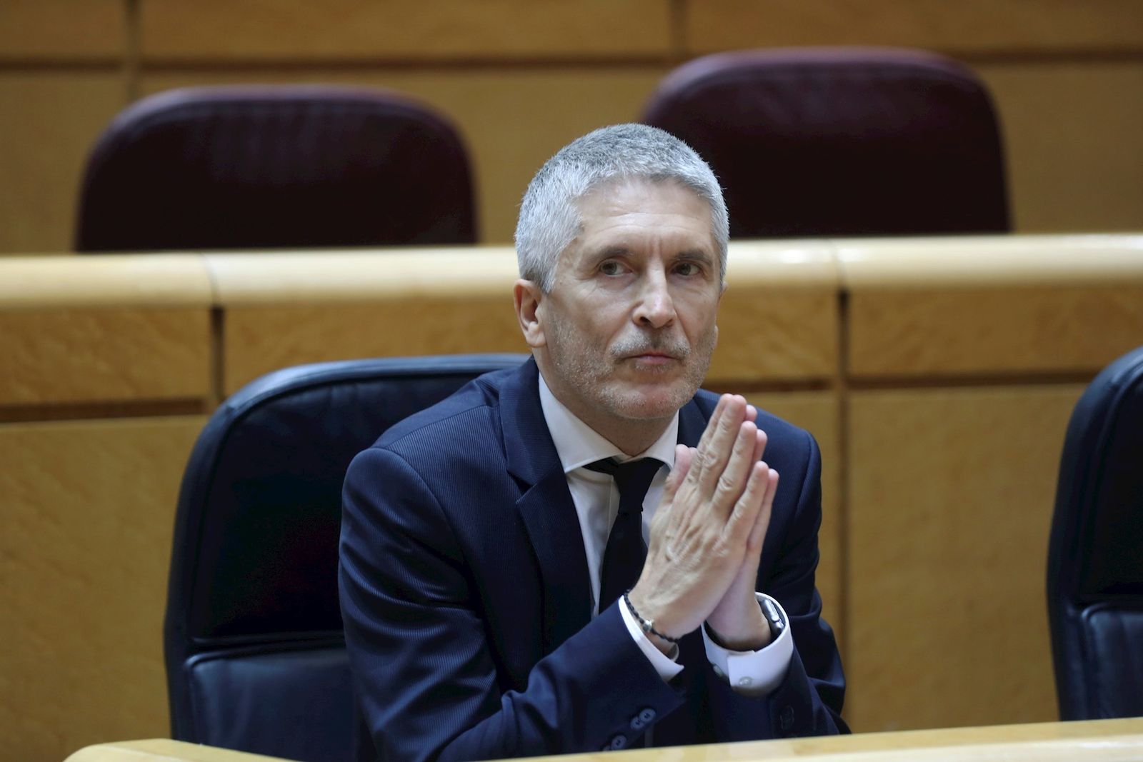 Fernando Grande-Marlaska, ministro de Interior