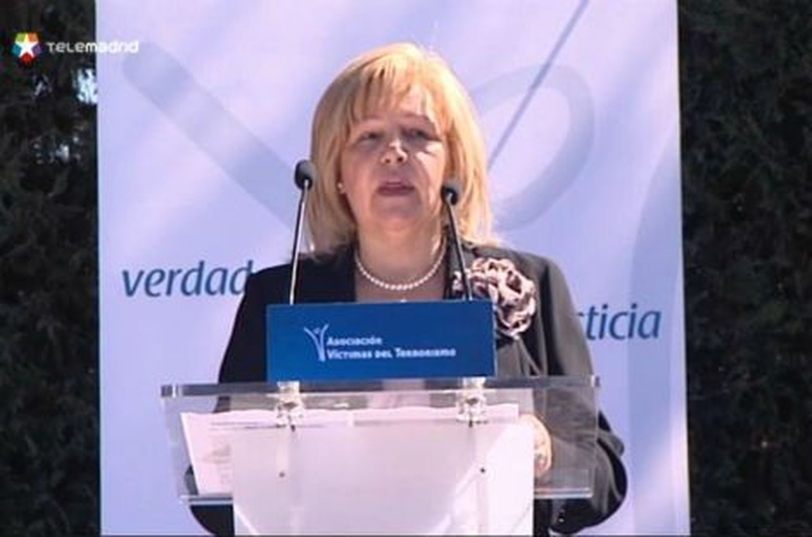 Pedraza (AVT) culpa a los sindicatos y al PSOE  de que la "división" haya vuelto "a aflorar" el 11M