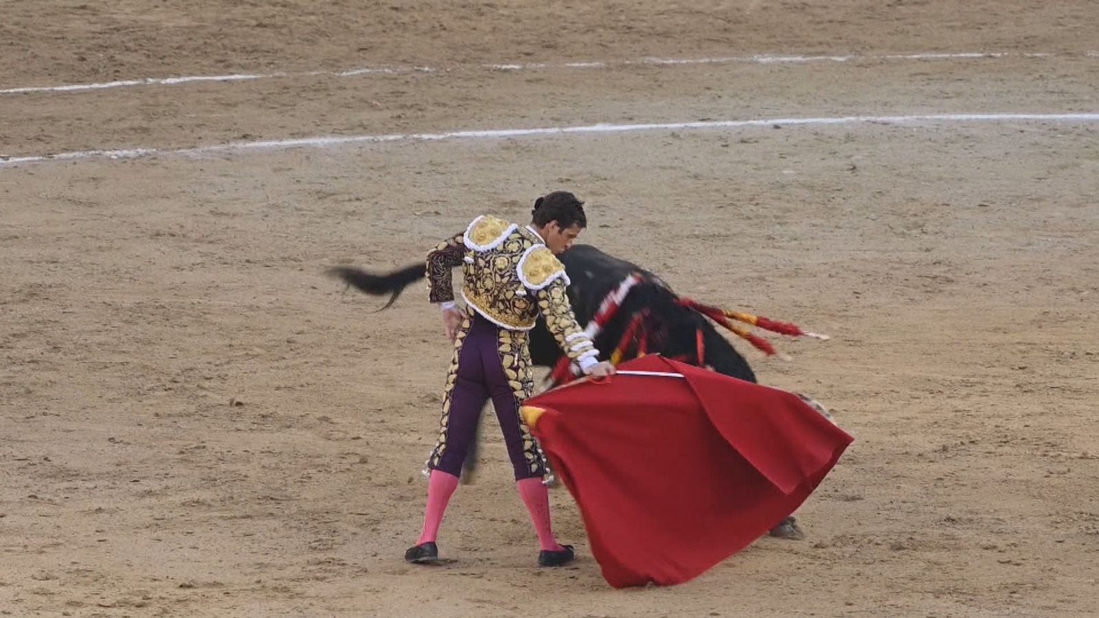 Tauromaquia