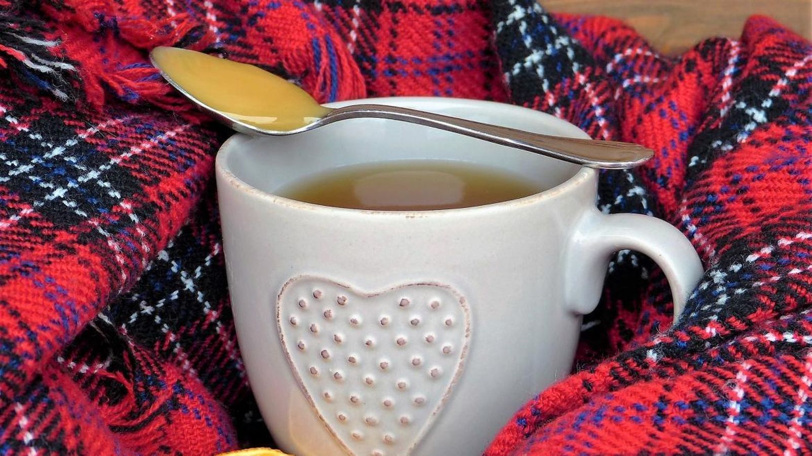 Taza de kombucha