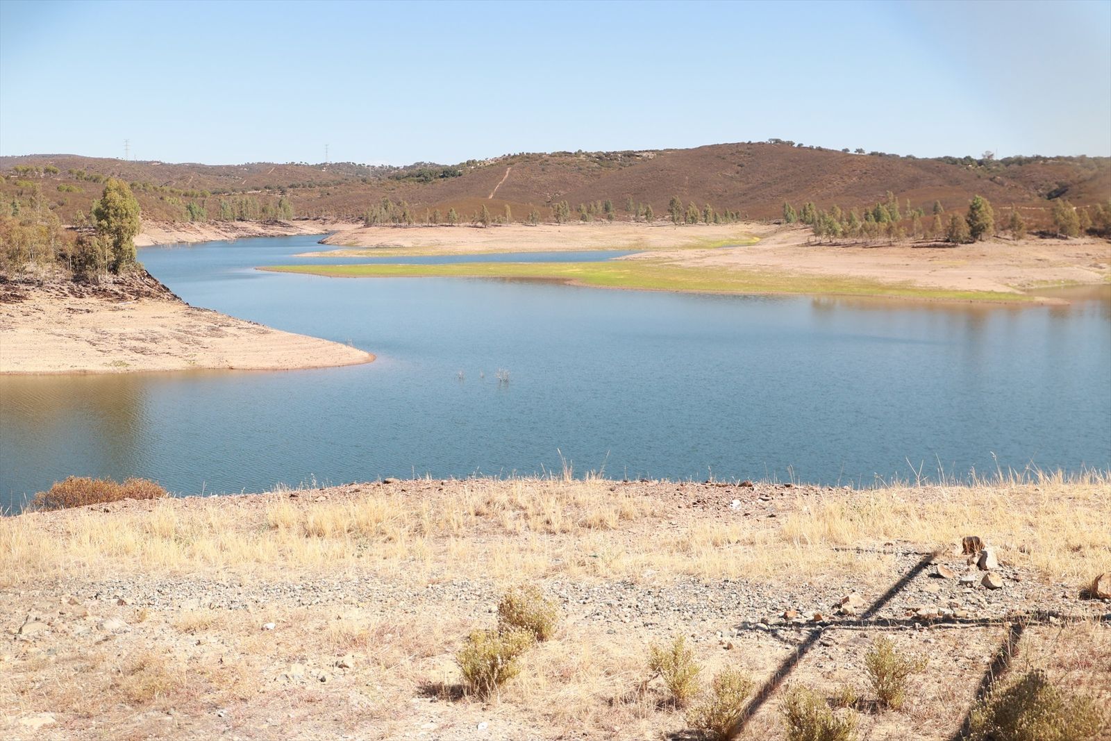 Pantano de Aznalcóllar (Sevilla), en 2023