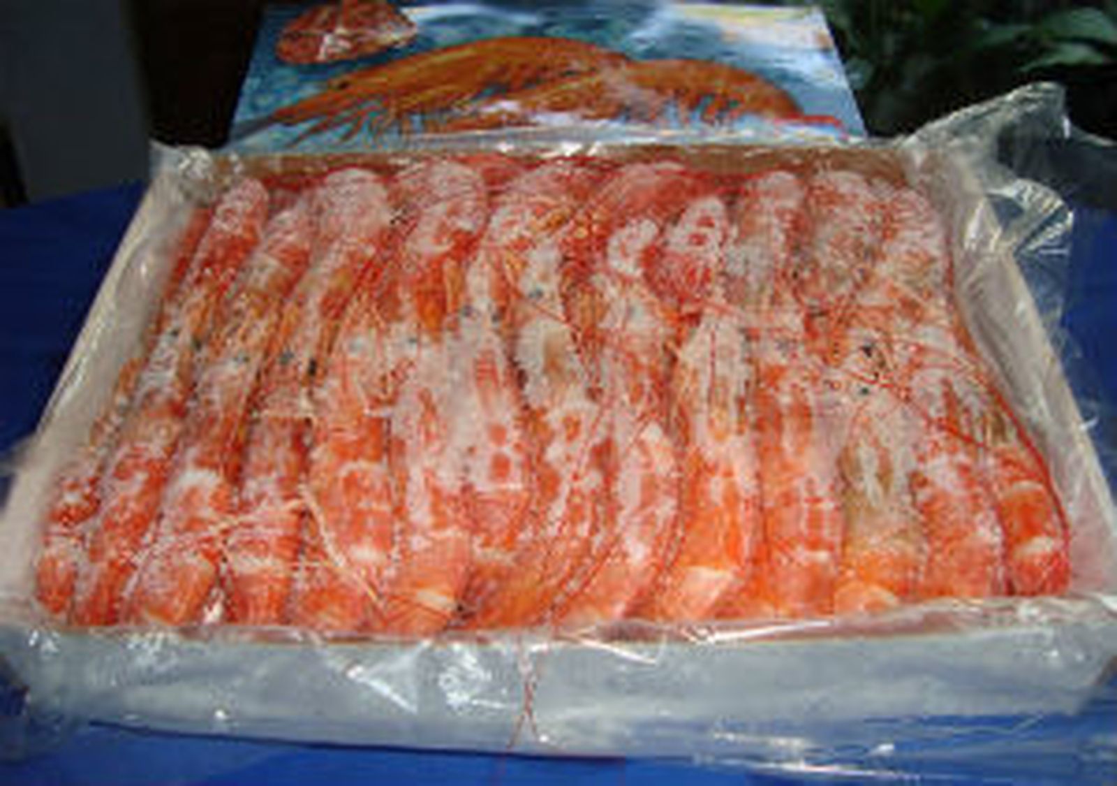 Langostinos congelados