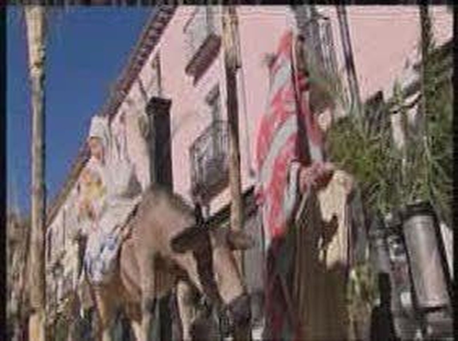 BelenSanLorenzo_20101226V0.wmv