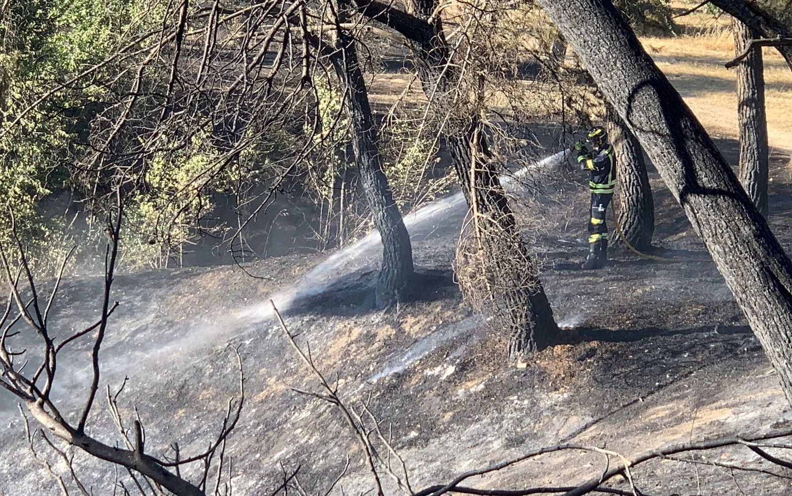 Incendio de pastos