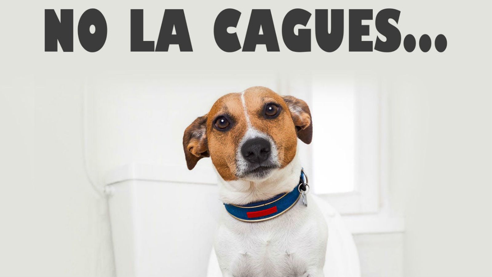 Campaña del Ayuntamiento de Móstoles