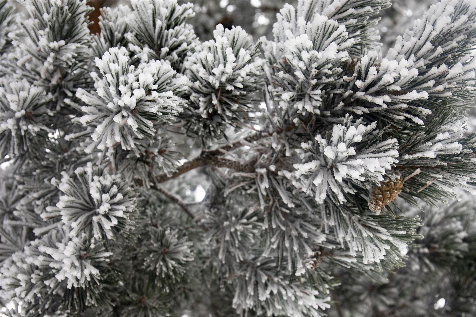 Imagen de archivo de nieve en la Sierra de Guadarrama