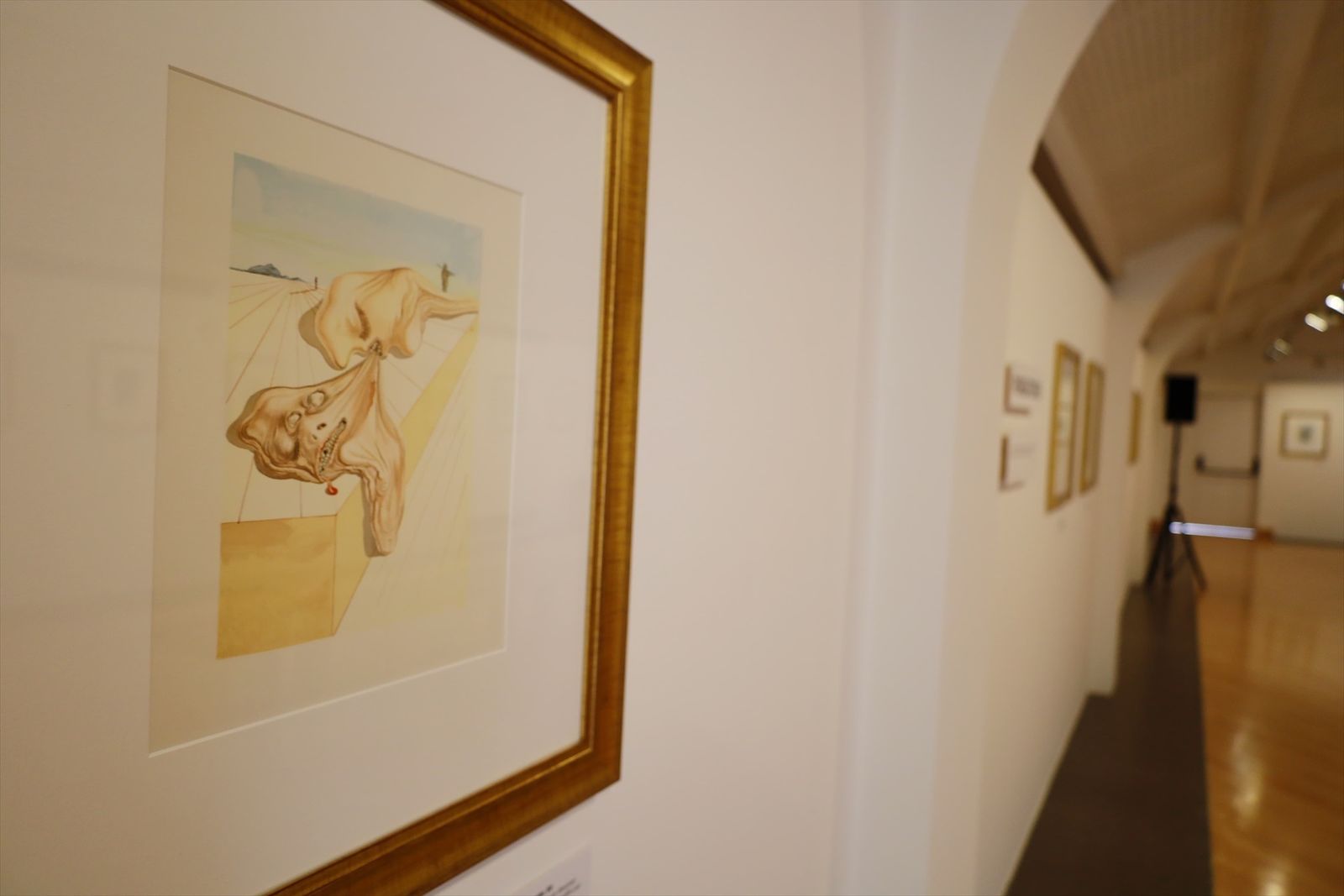 Exposición 'Salvador Dalí. La Divina Comedia' de la Red Itiner de la Comunidad de Madrid