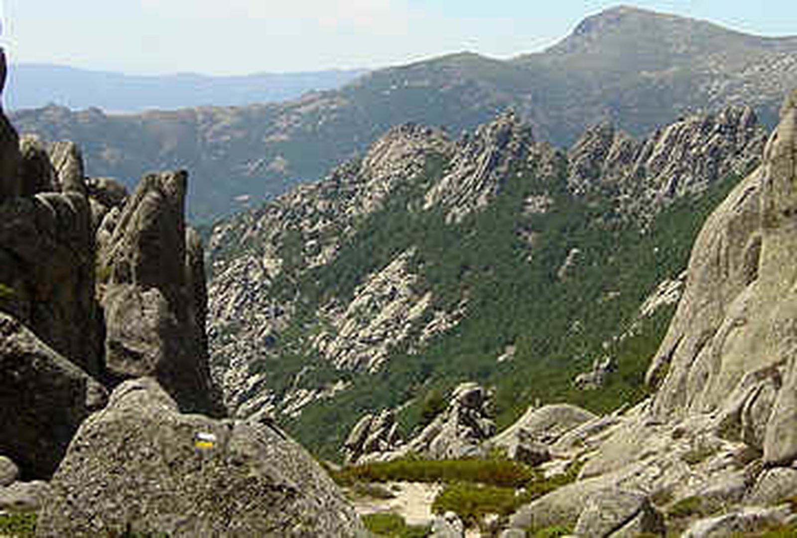 Fallece un hombre de 70 años  en La Pedriza tras ser embestido por una vaca