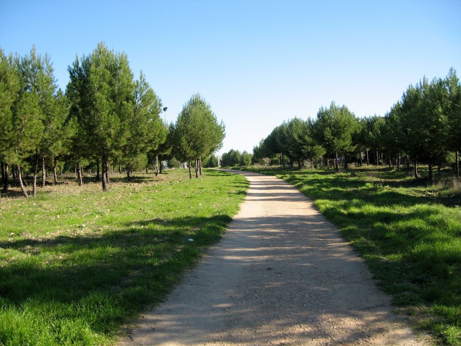 Detenido el presunto autor de un incendio en el parque de El Cerro de Coslada