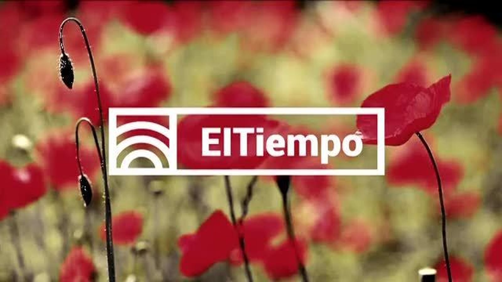 El Tiempo 2 20.10.2017