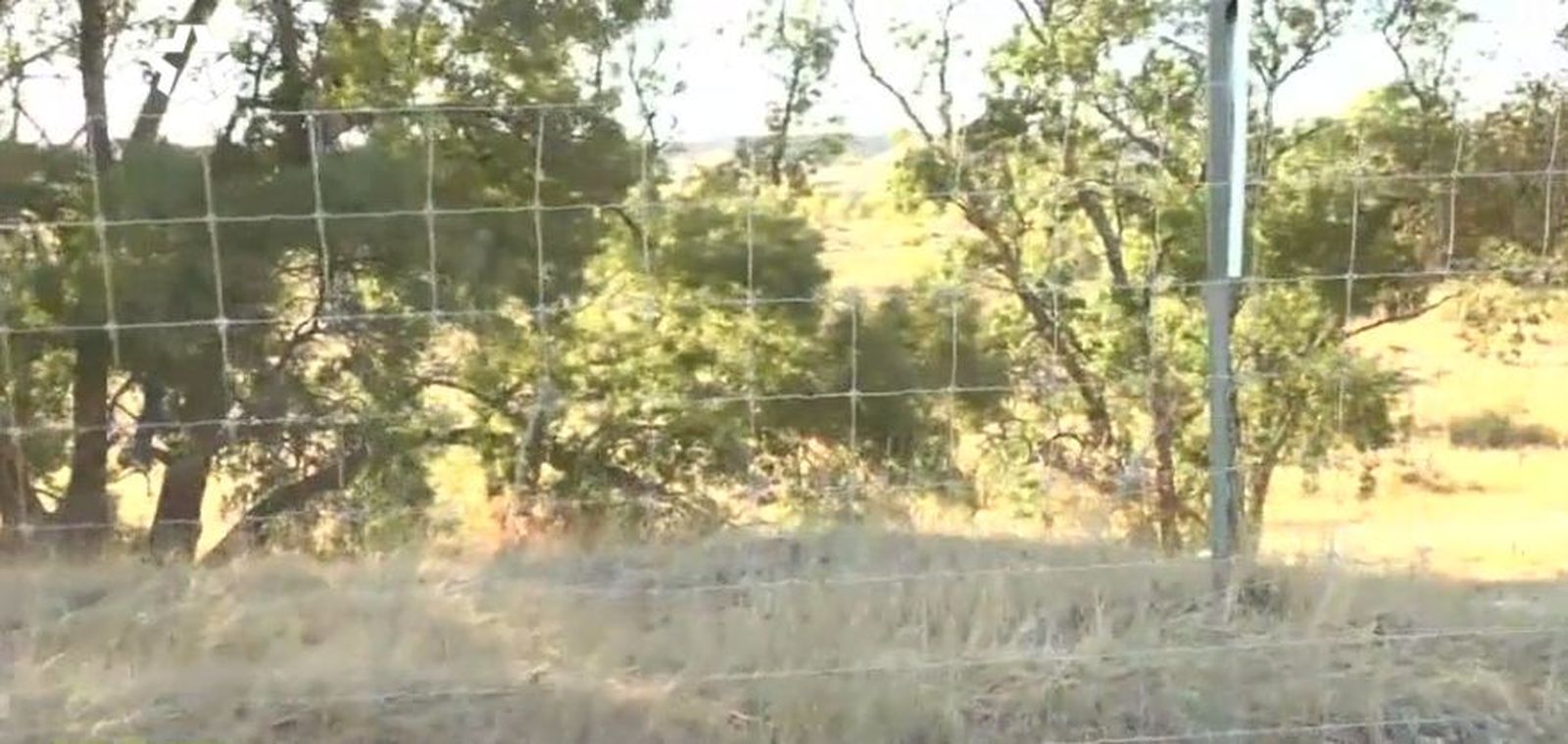 Vallado realizado por la empresa pistachera de Valdetorres de Jarama