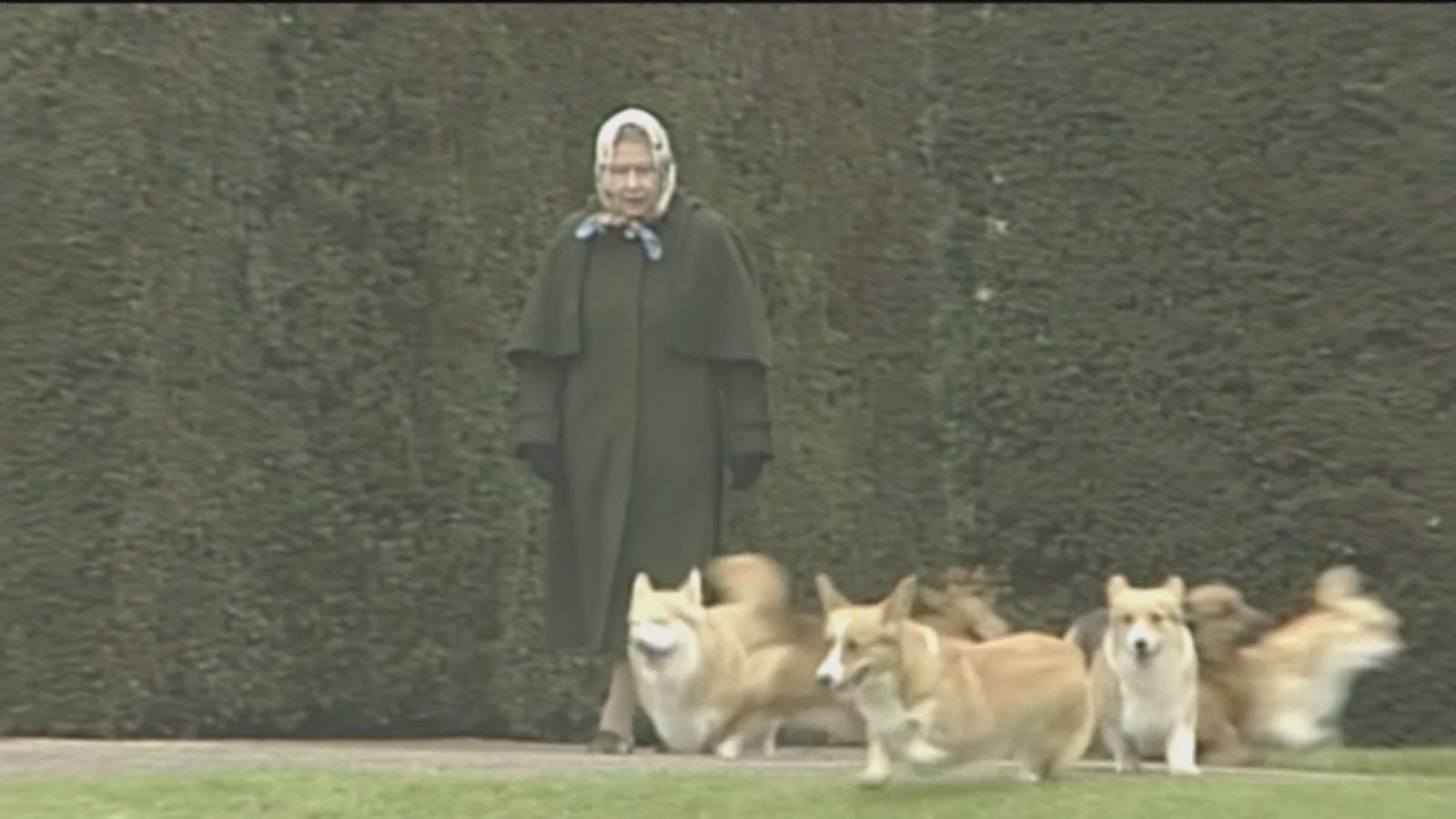 Qué será de los perros de Isabel II: Honey, Pickles, Tinker, Chipper, Pipper...
