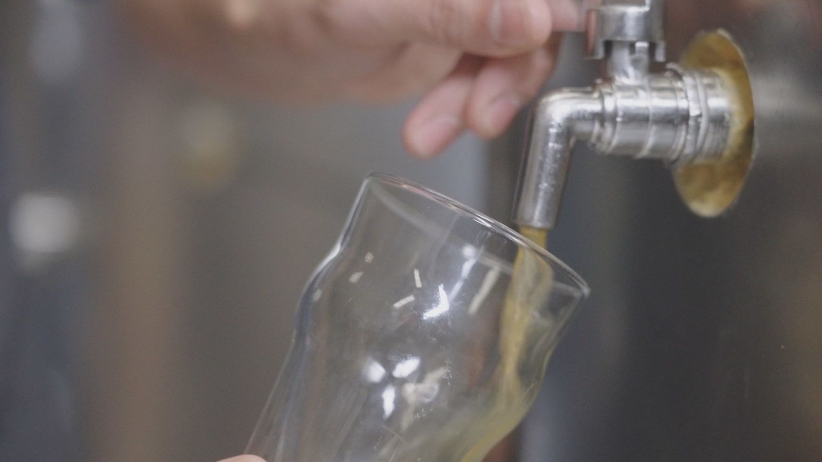 Así se hace la primera cerveza de Madrid con certificación ecológica