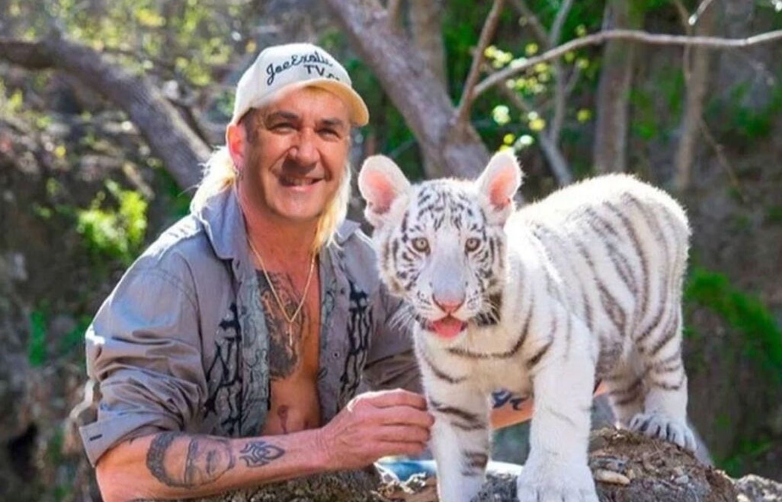 Meme del tigre de Los Barrios