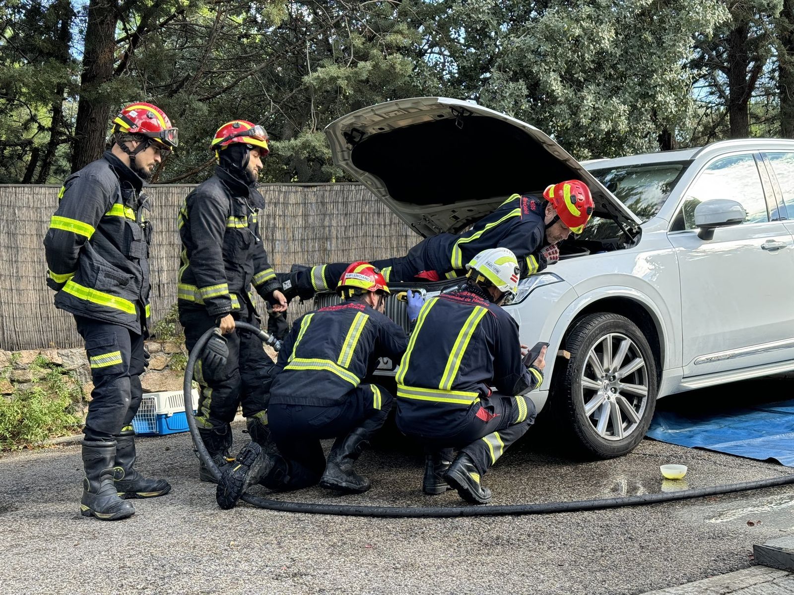 Los bomberos rescatan una gata