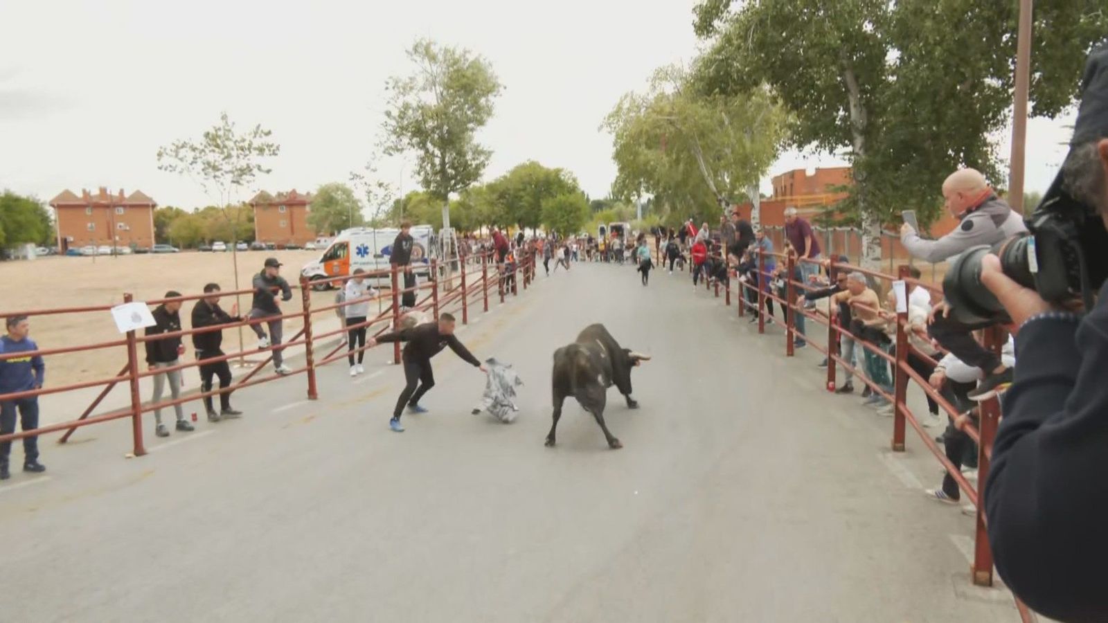 Así se viven las fiestas en honor al Cristo de la Paciencia en Velilla de San Antonio