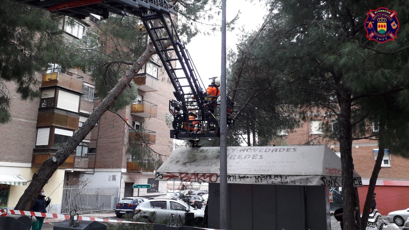 Bomberos de Alcorcón retiran ramas caídas a consecuencia de la borrasca Filomena