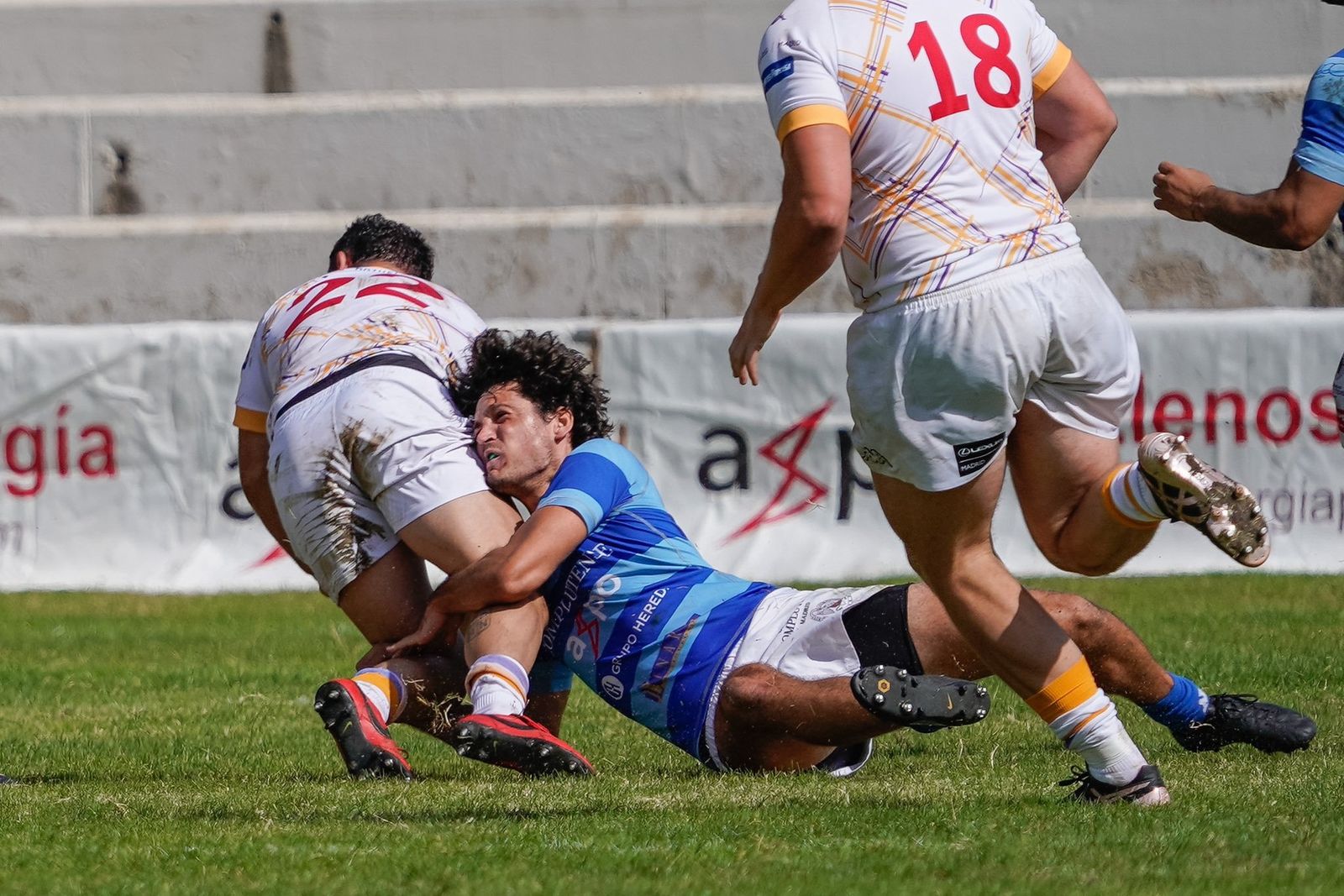 Complutense Cisneros - Pozuelo Rugby Union