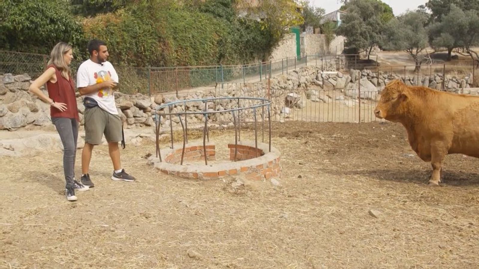 La Granja Escuela El Palomar, un proyecto educativo que lleva en marcha 40 años