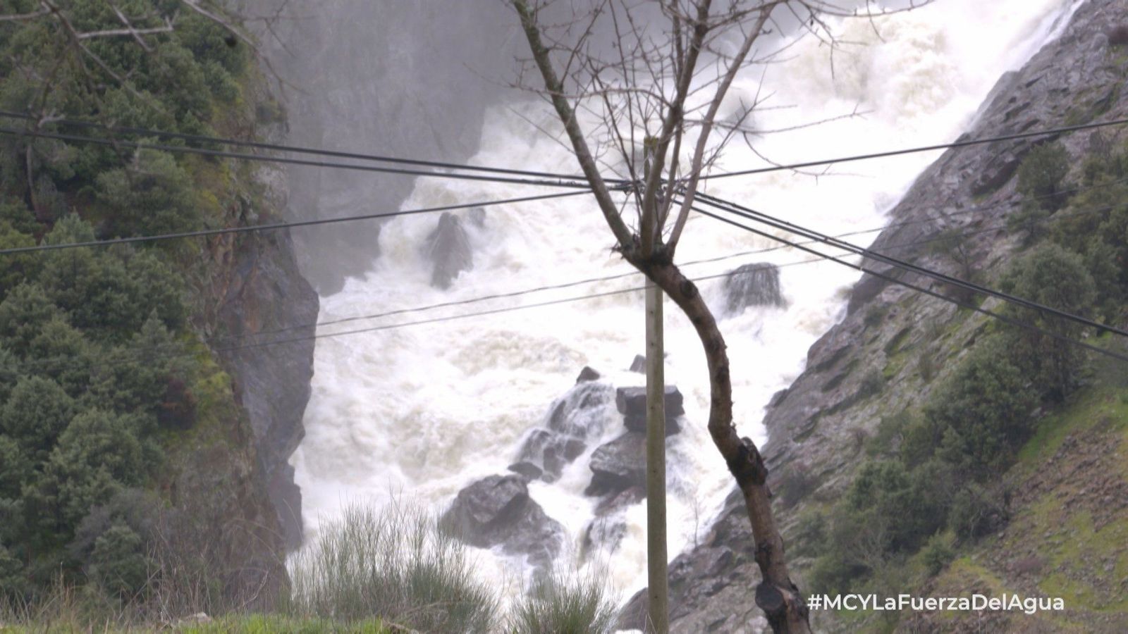 Mi cámara y yo: La fuerza del agua