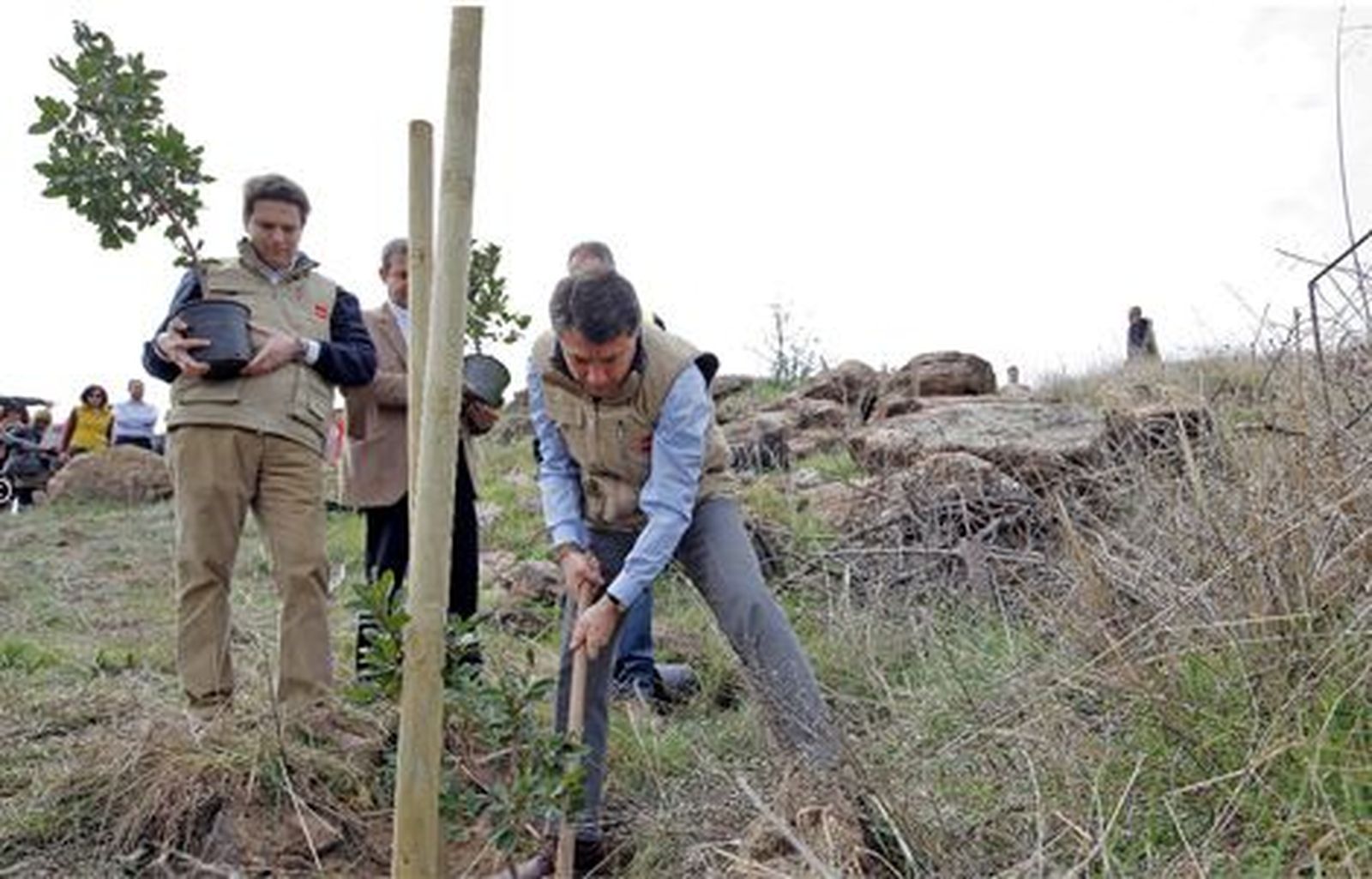 La zona del incendio de Robledo se reforestará con 260.000 árboles