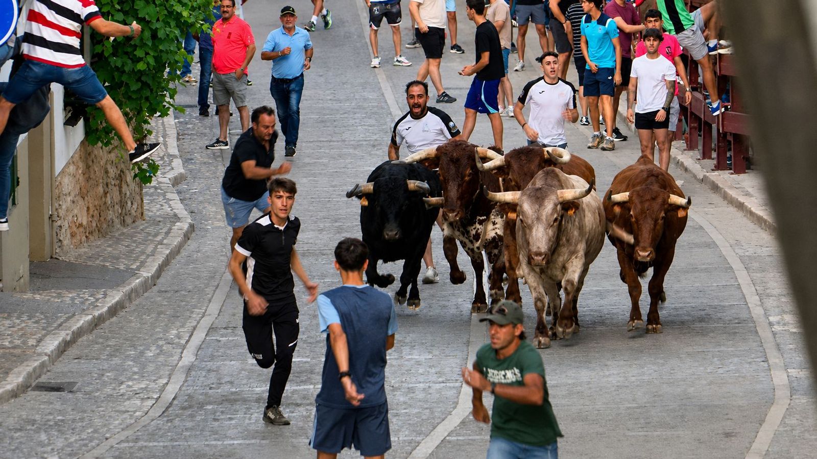Los encierros dan comienzo a las fiestas de Chinchón