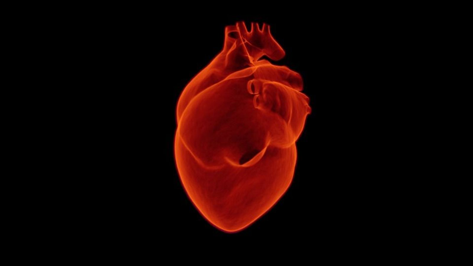¿Cómo cuidar nuestro corazón?