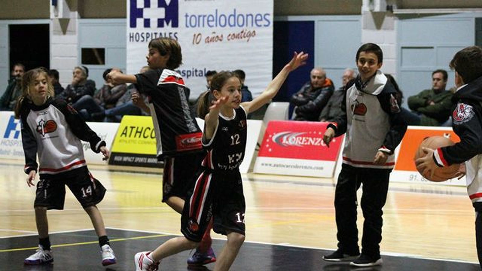 Torrelodones, el baloncesto empieza por la base
