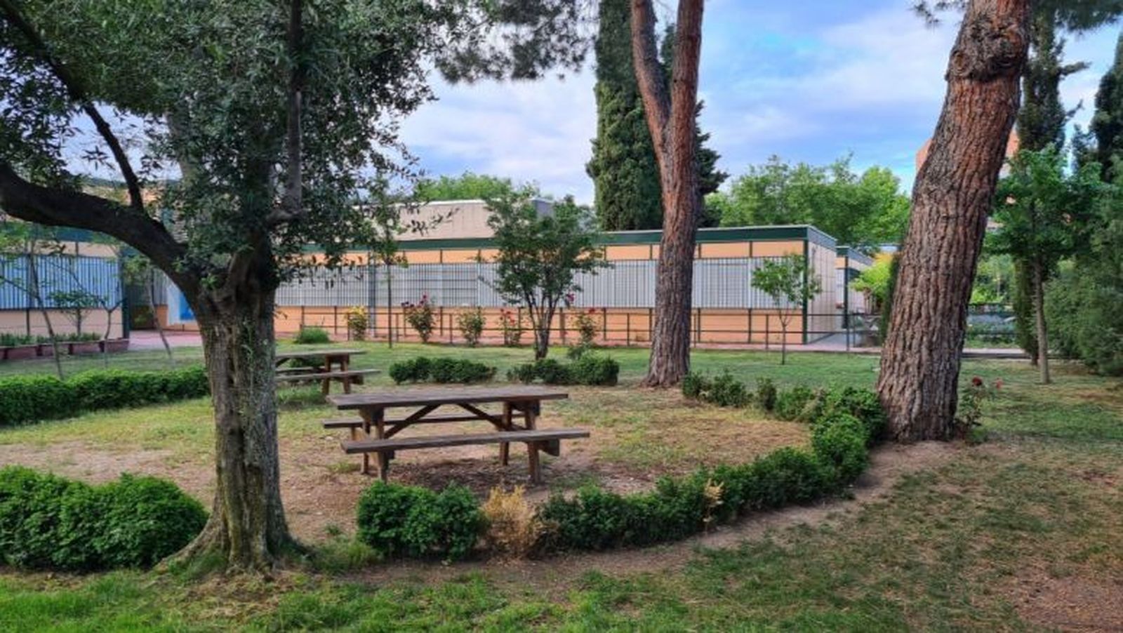 Zonas verdes en el interior del CEIP Ciudad de Jaén, en el barrio de Orcasur, distrito de Usera