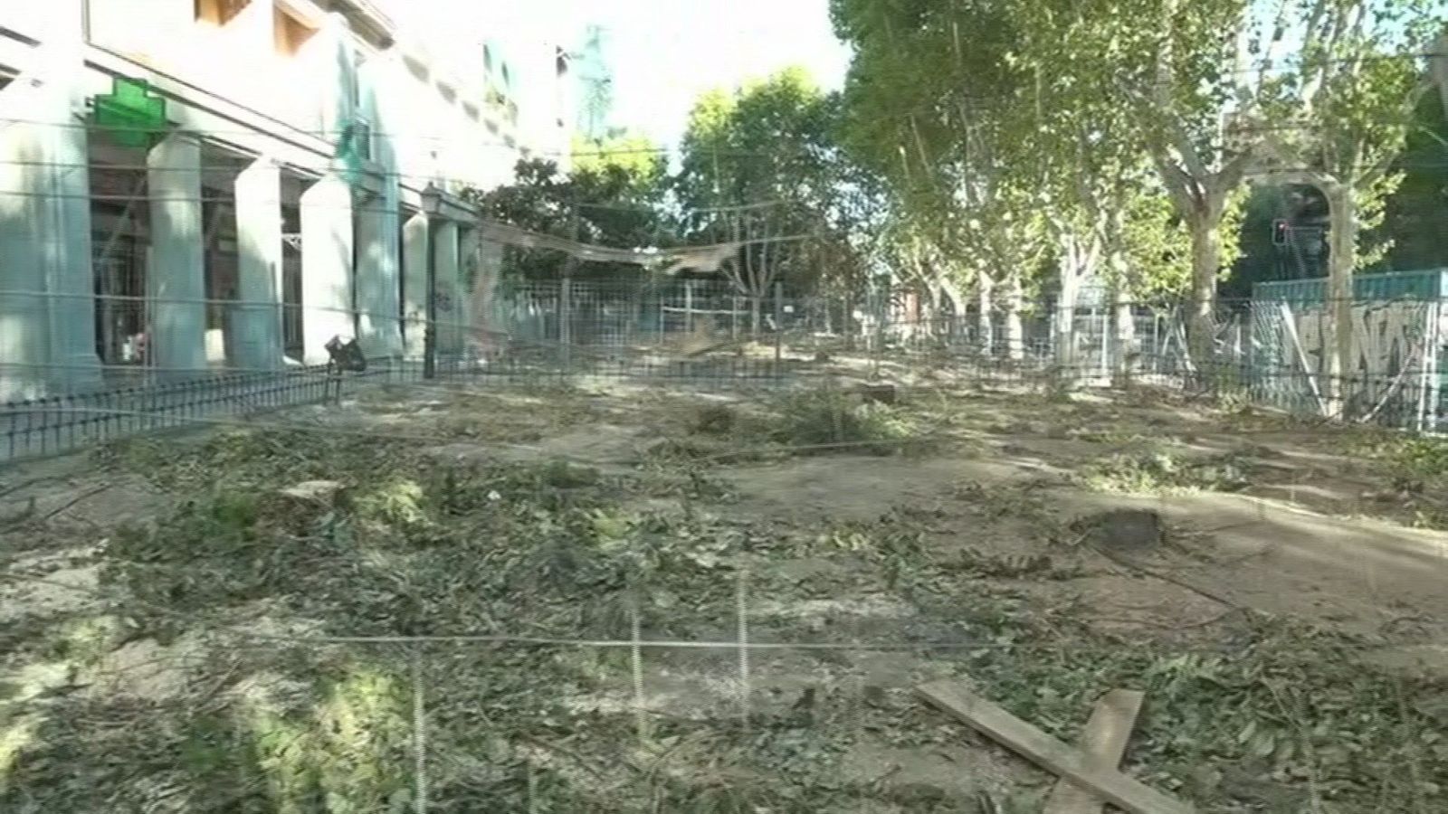 Los vecinos denuncian la" indiscriminada" tala de árboles de la Plaza Niño Jesús de Madrid