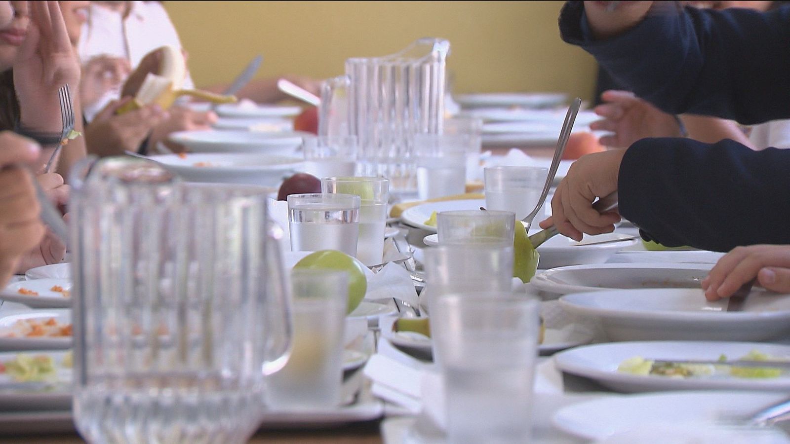 CEAPA demanda que los colegios vuelvan a tener sus propias cocinas