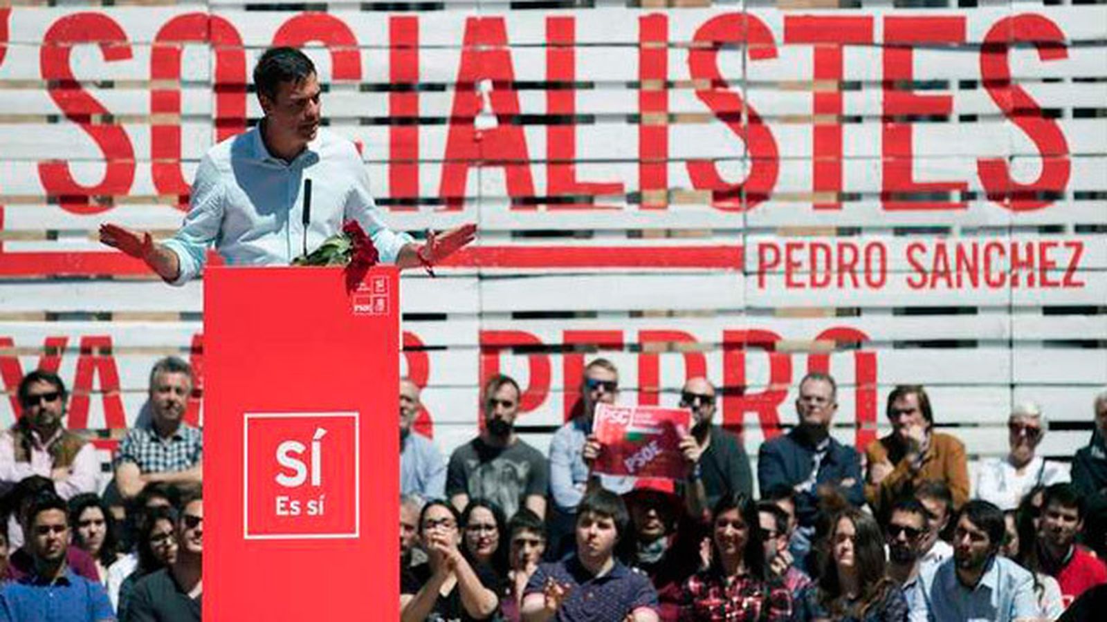 Pedro Sánchez