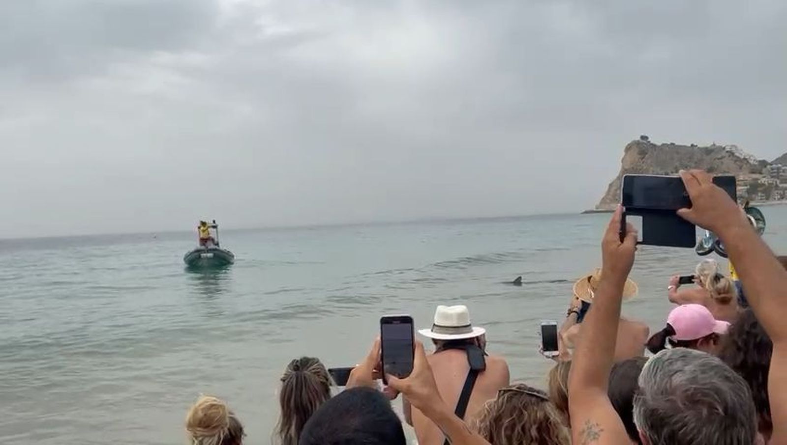 Un tiburón provoca la revolución en la playa de Benidorm