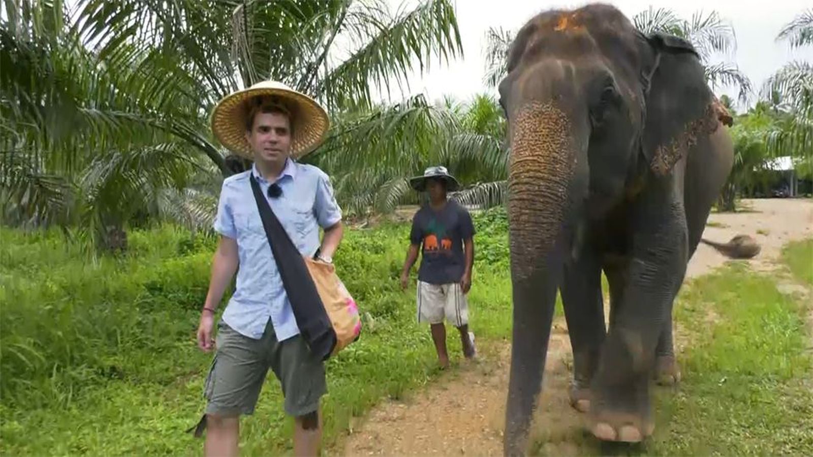 El Santuario de elefantes de Krabi