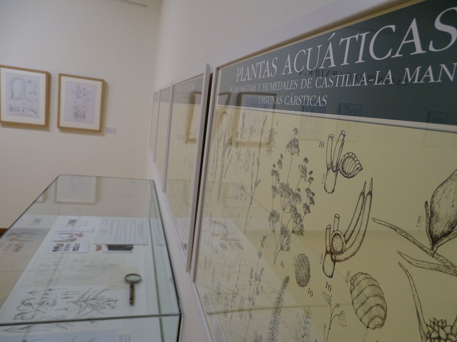 Exposición 'Jardín Ilustrado' de Marta Chirino, en Alcalá de Henares