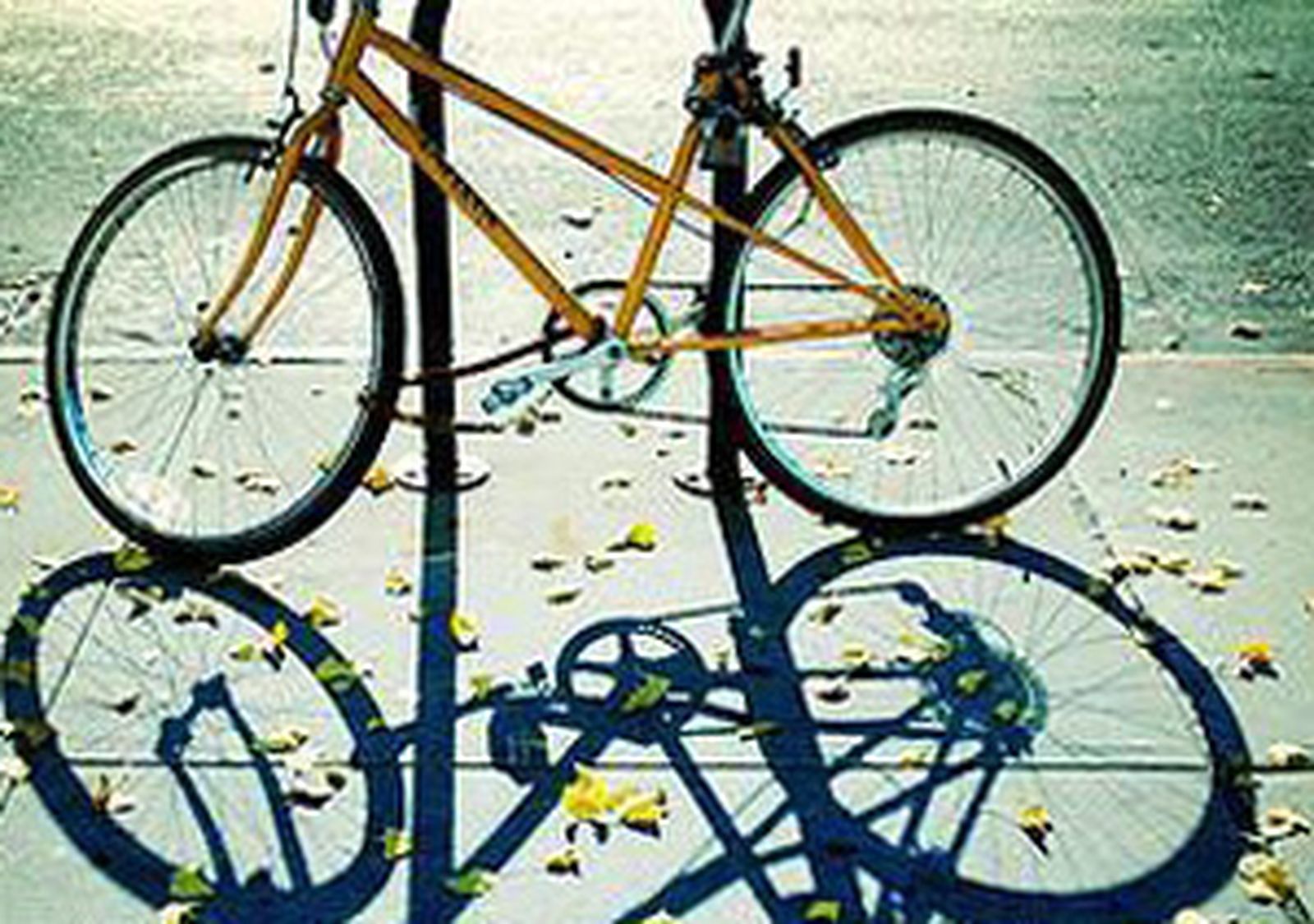 bici_470_mundial