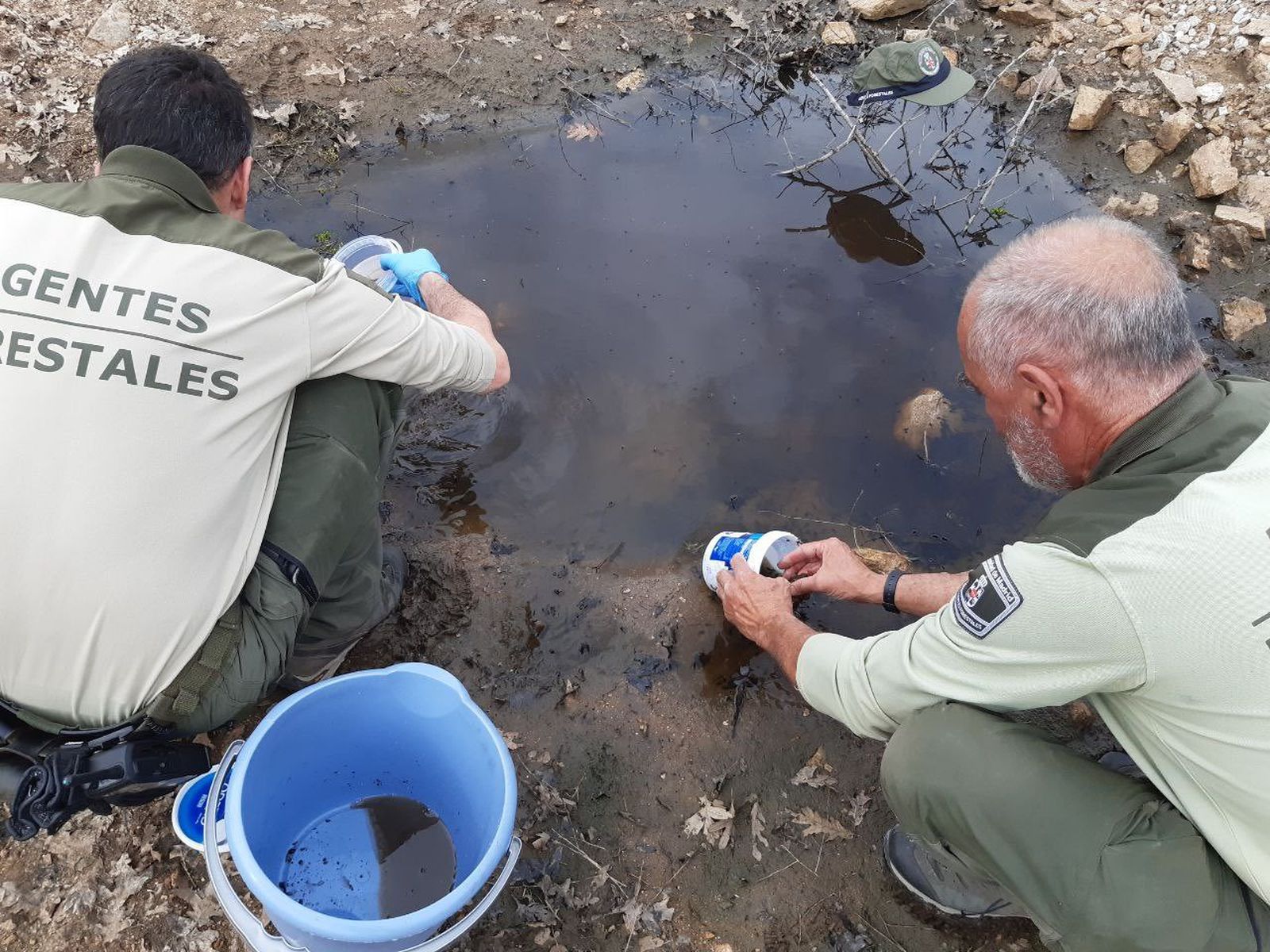 Agentes forestales de la Comunidad durante el rescate de los renacuajos