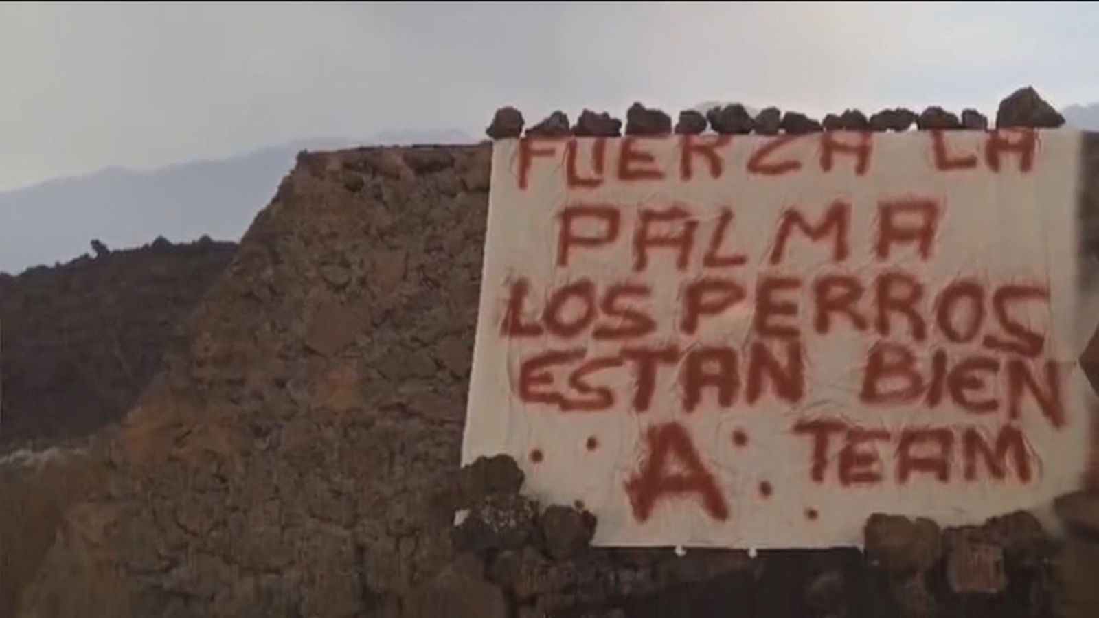 Un 'Equipo A' palmeño rescata a los perros cercados por coladas de lava